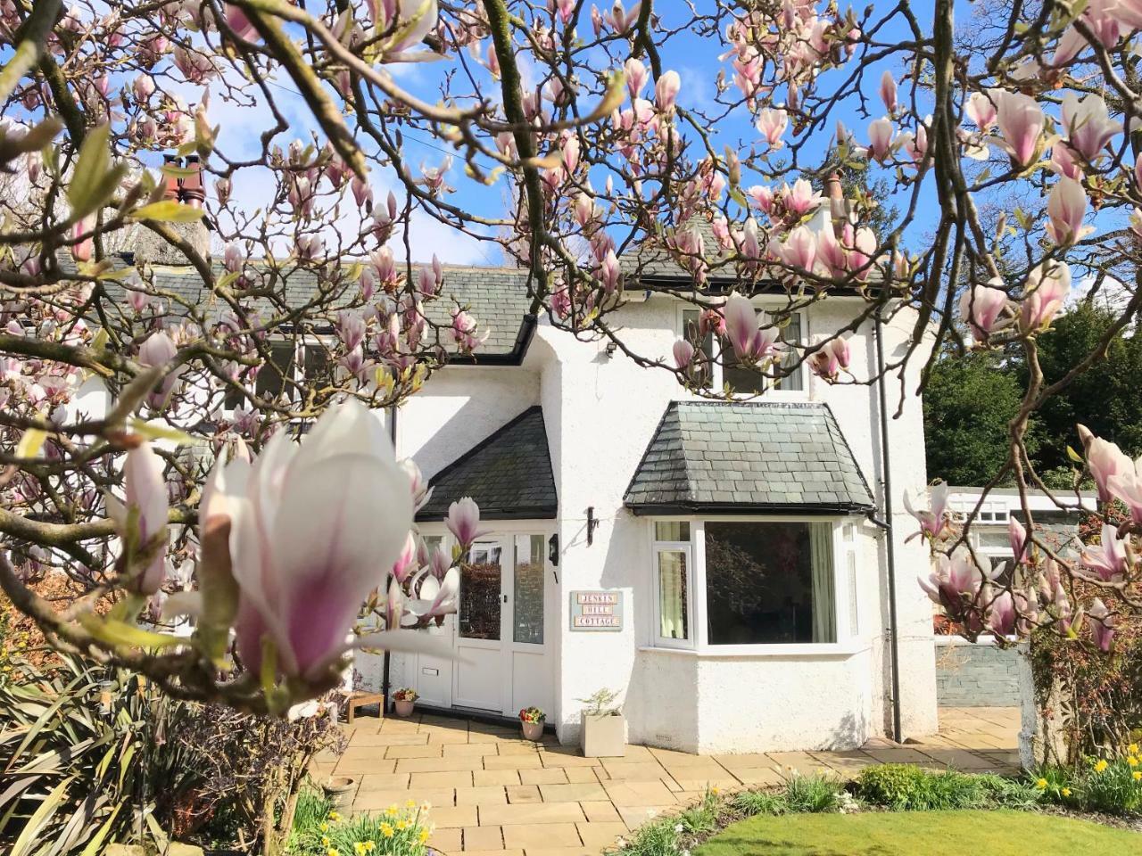 Jenkin Hill Cottage Bed And Breakfast Keswick  Exterior photo
